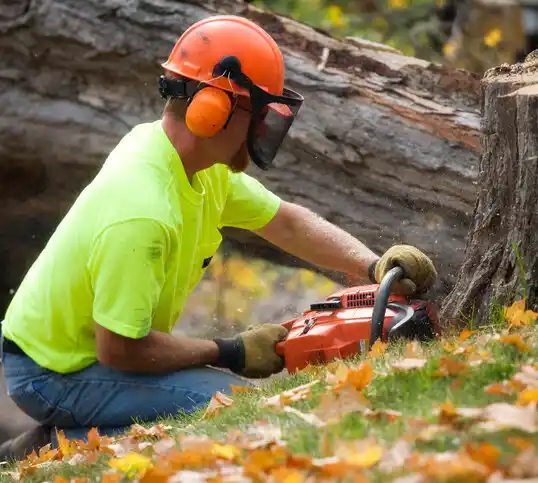 tree services Deshler